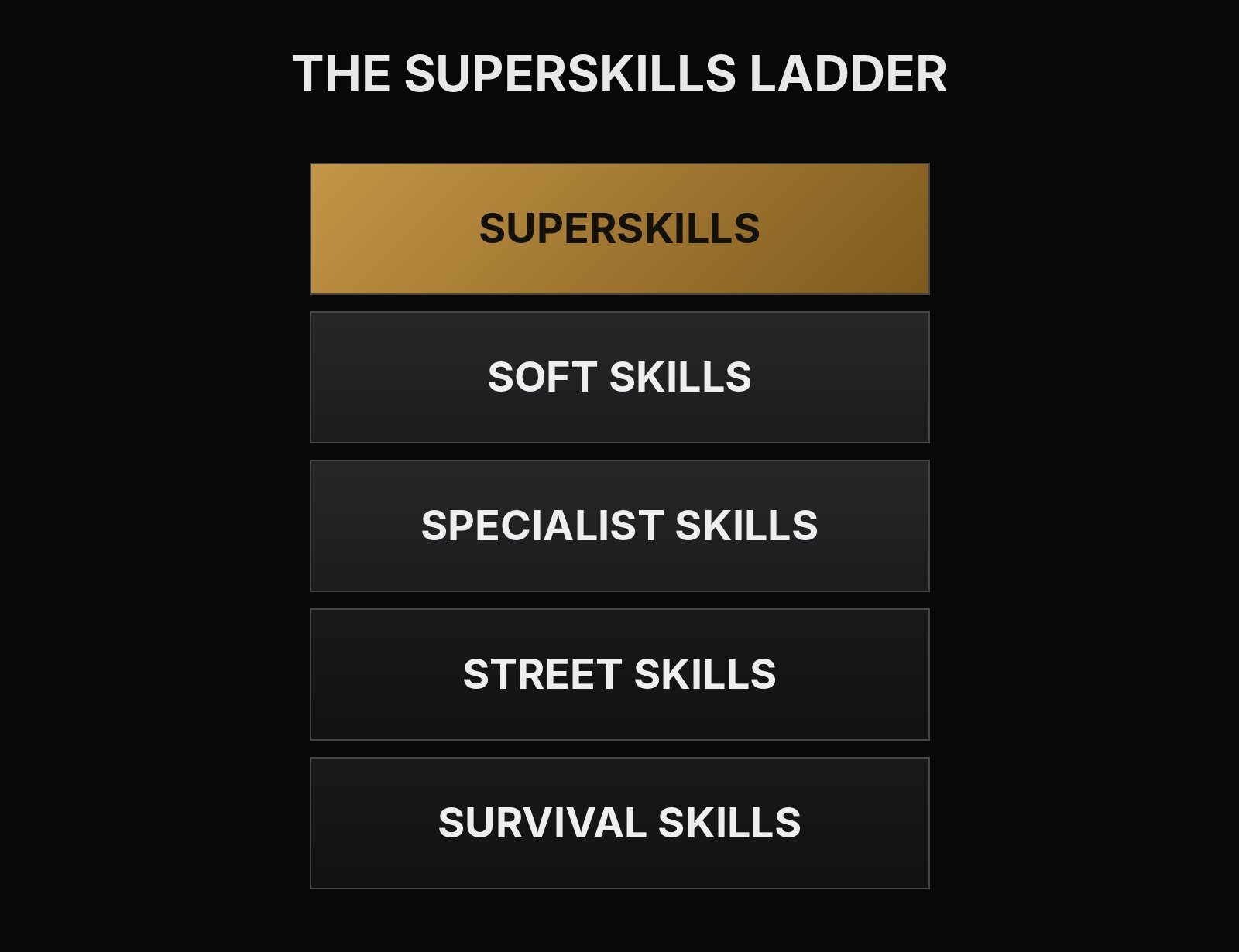 The SuperSkills Ladder, from the bottom rung to the top: survival skills, street skills, specialist skills, soft skills and SuperSkills.